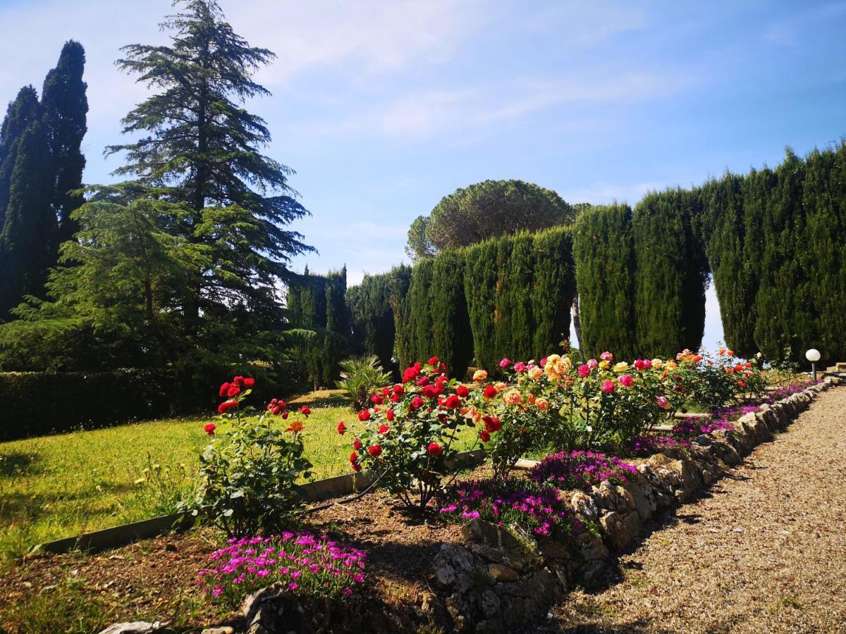 Villa Bellaria Campagnatico Exteriér fotografie