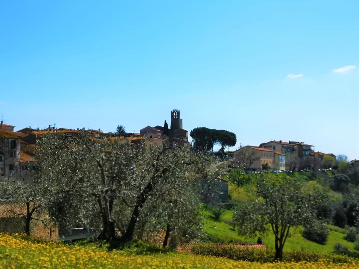 Villa Bellaria Campagnatico Exteriér fotografie